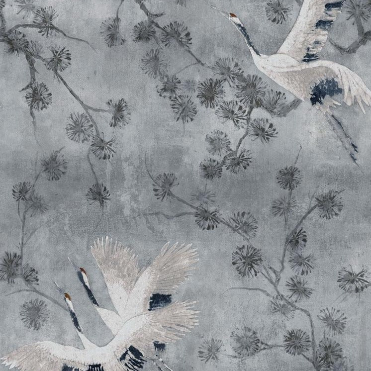 Homeward Bound - Nimbus