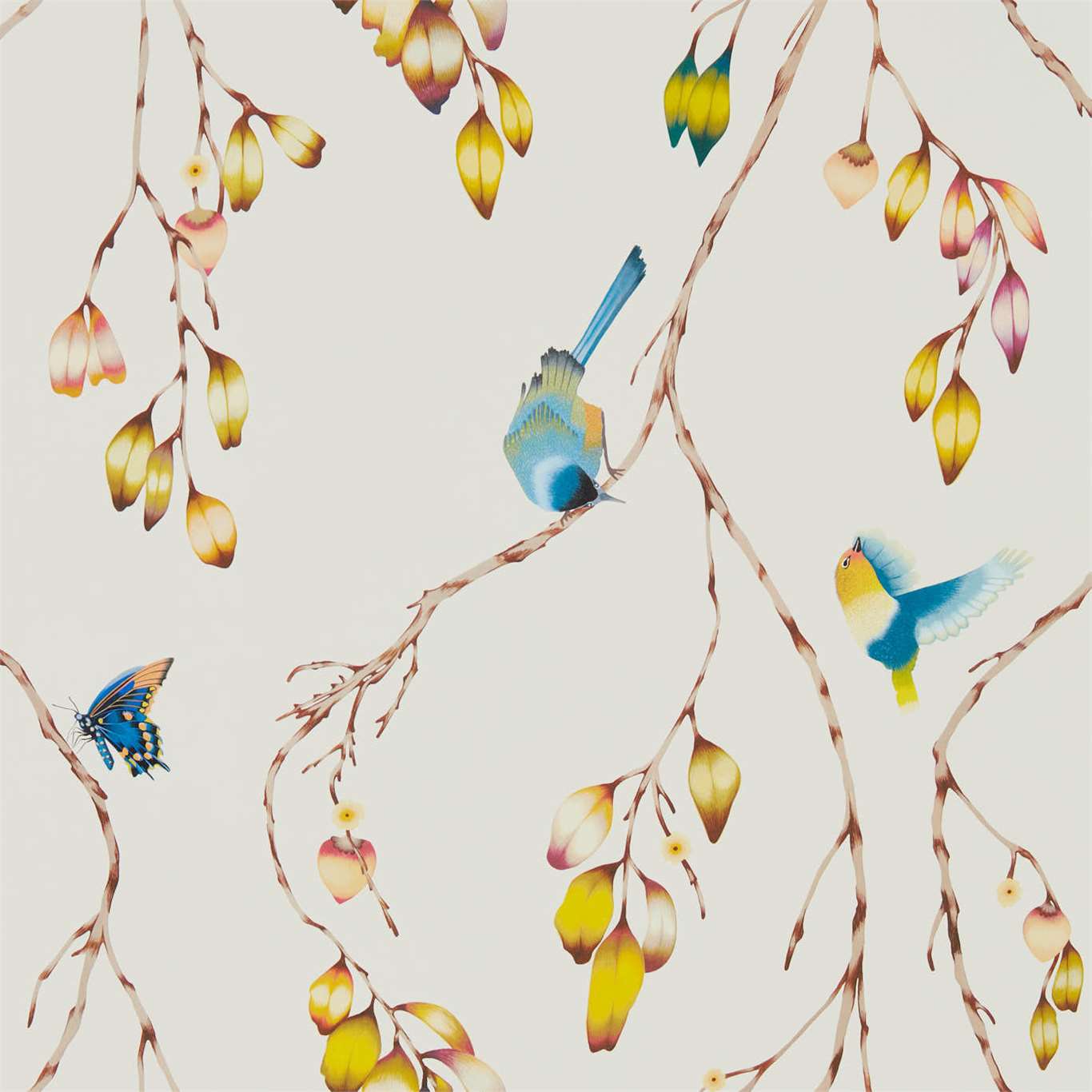 Iyanu - Papaya / Kiwi