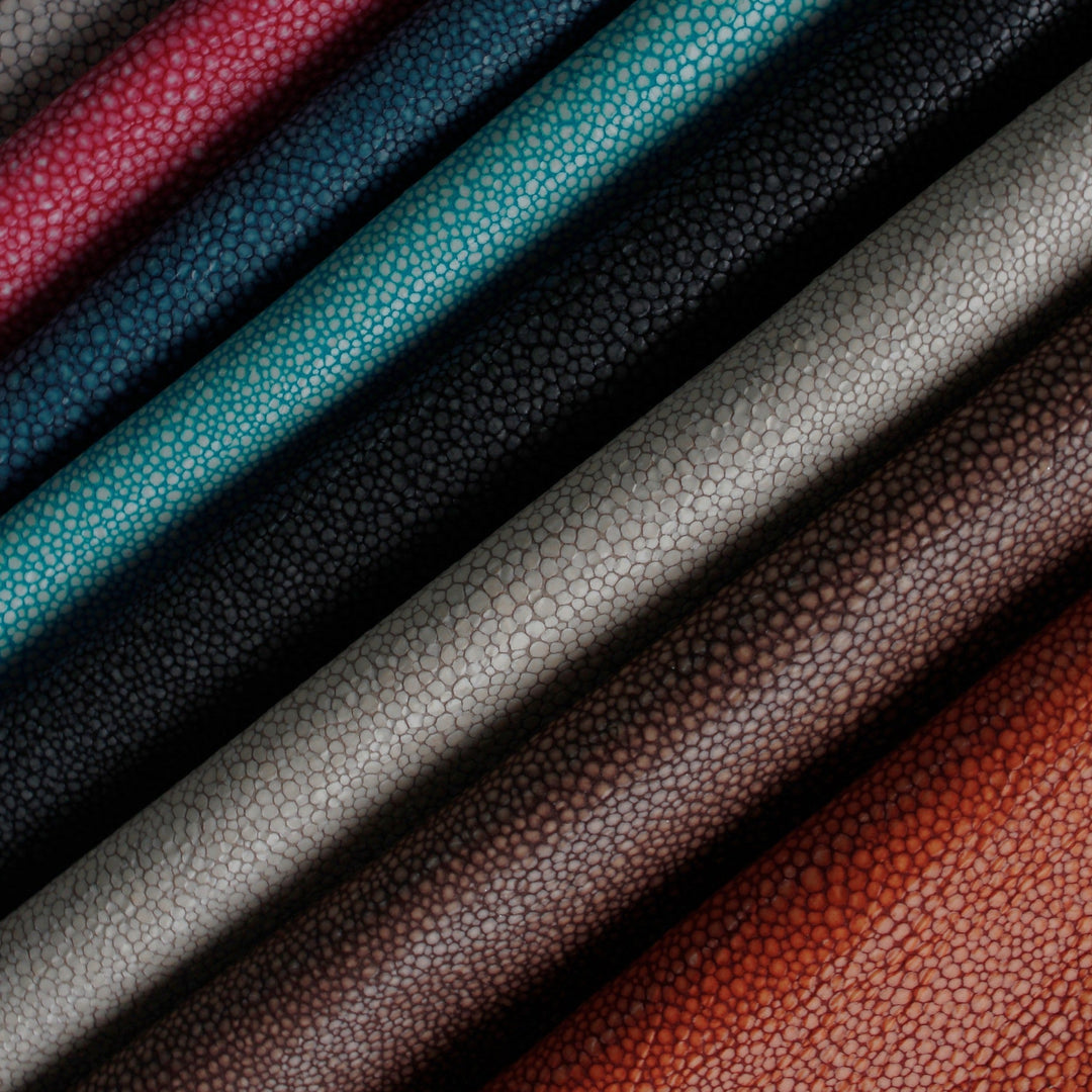 Hide Tide - Starfish