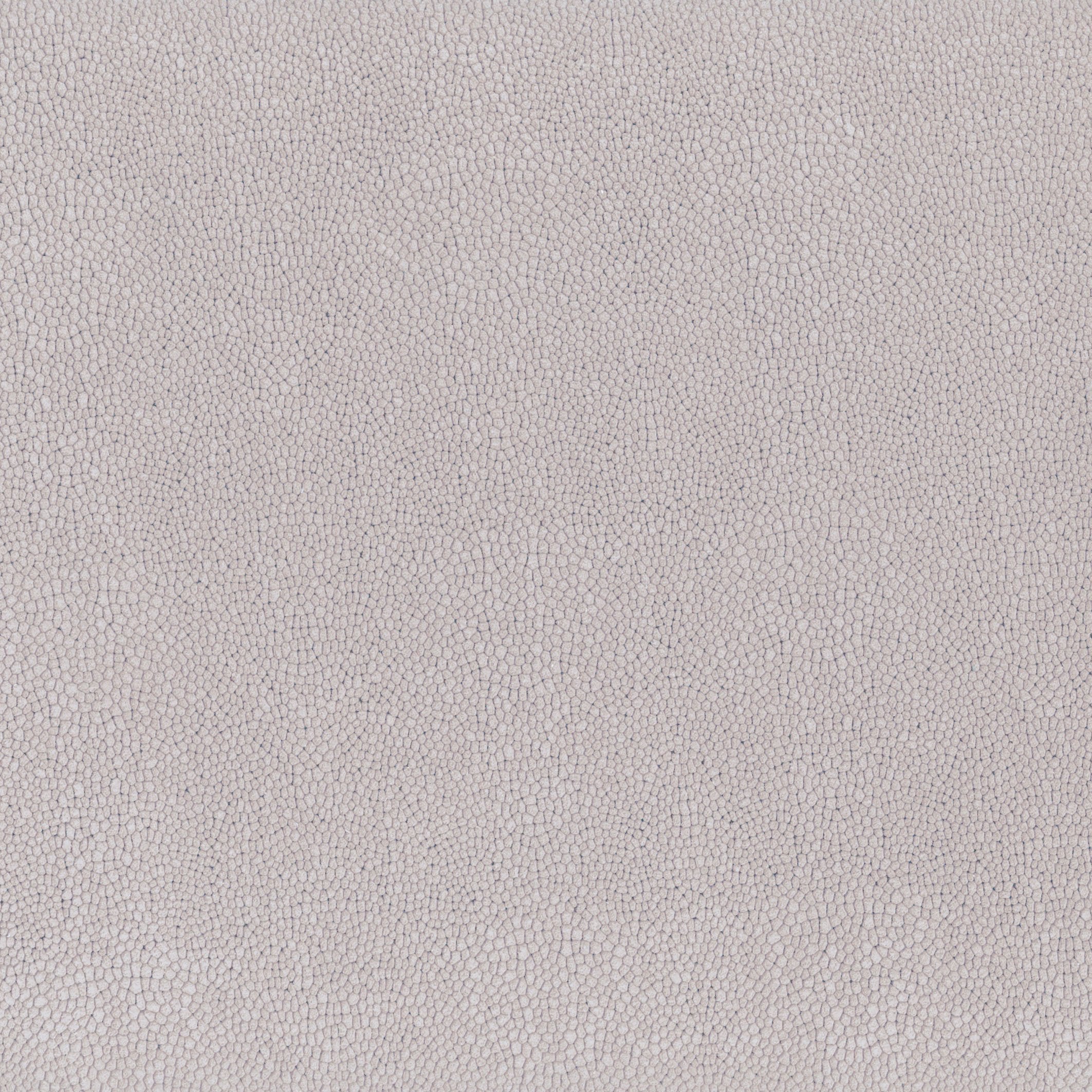 Hoof Print III - Cotton