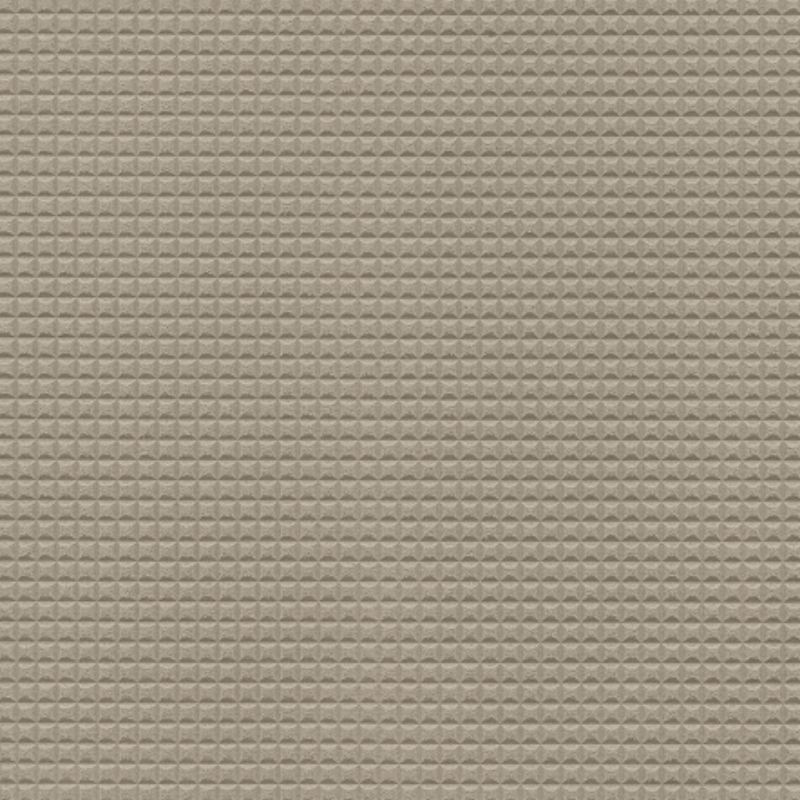 Hoof Print I - Canvas