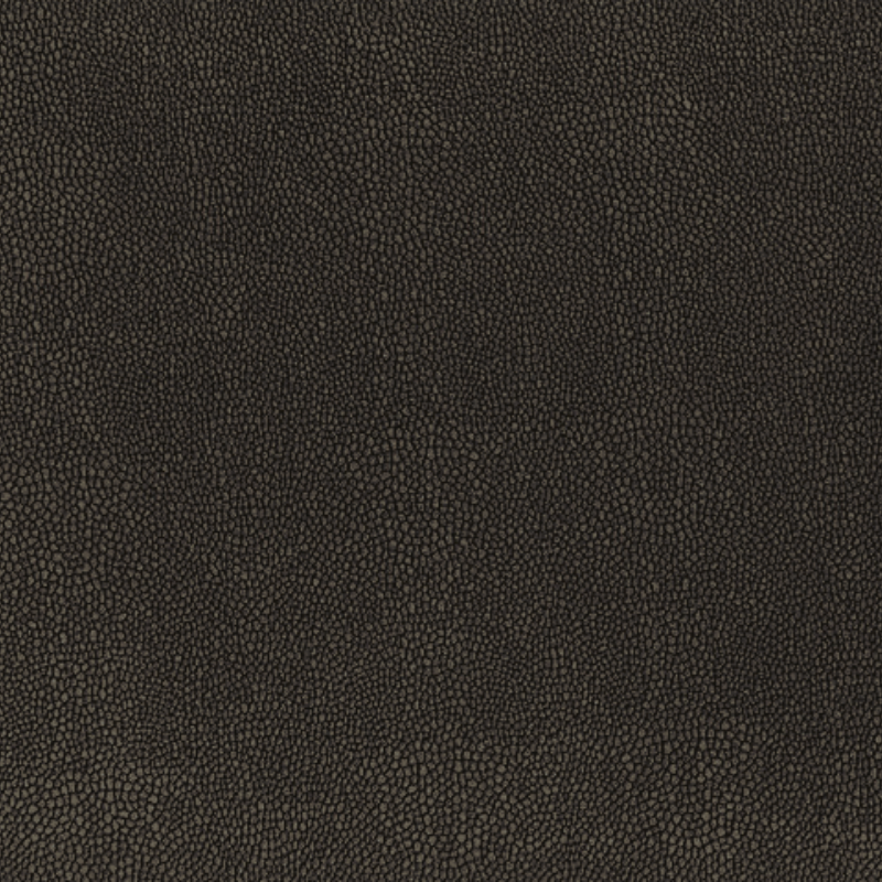 Hoof Print III - Ash