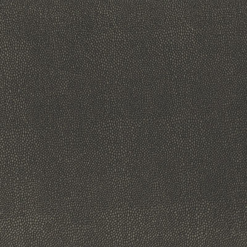 Hoof Print III- Sparrow