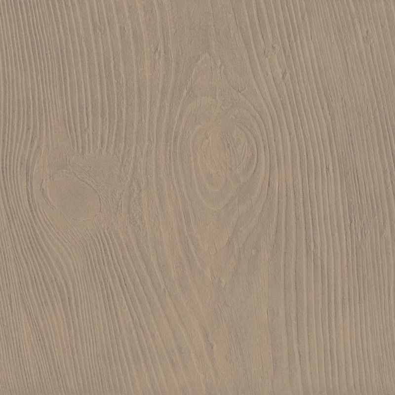 Hoof Print II - Canvas