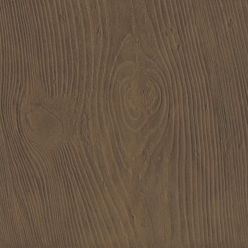 Hoof Print II - Dove