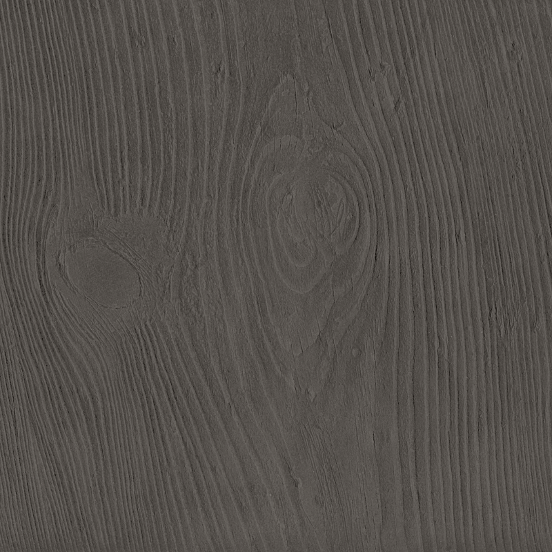 Hoof Print II- Sparrow