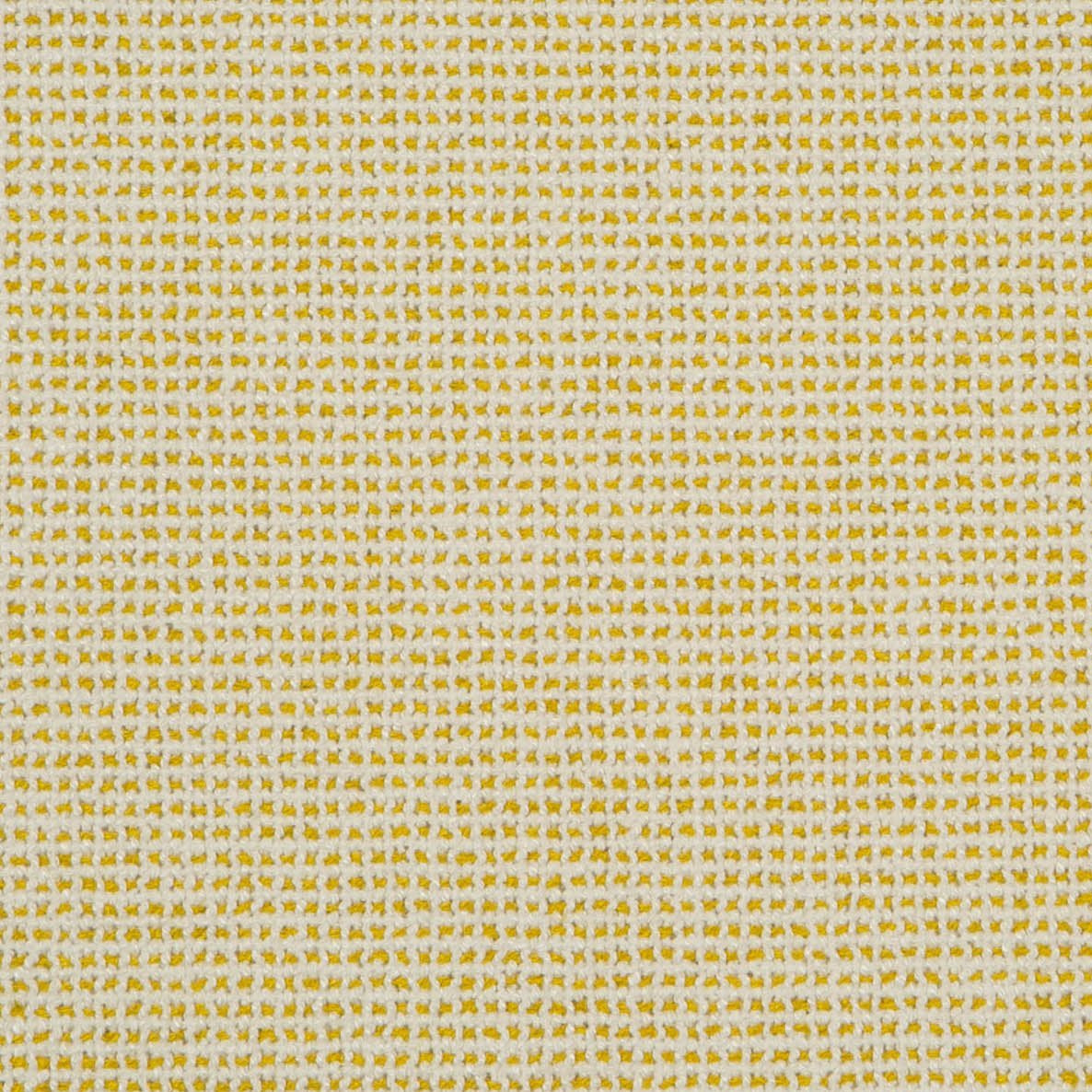 Palm Beach Grid - Citron