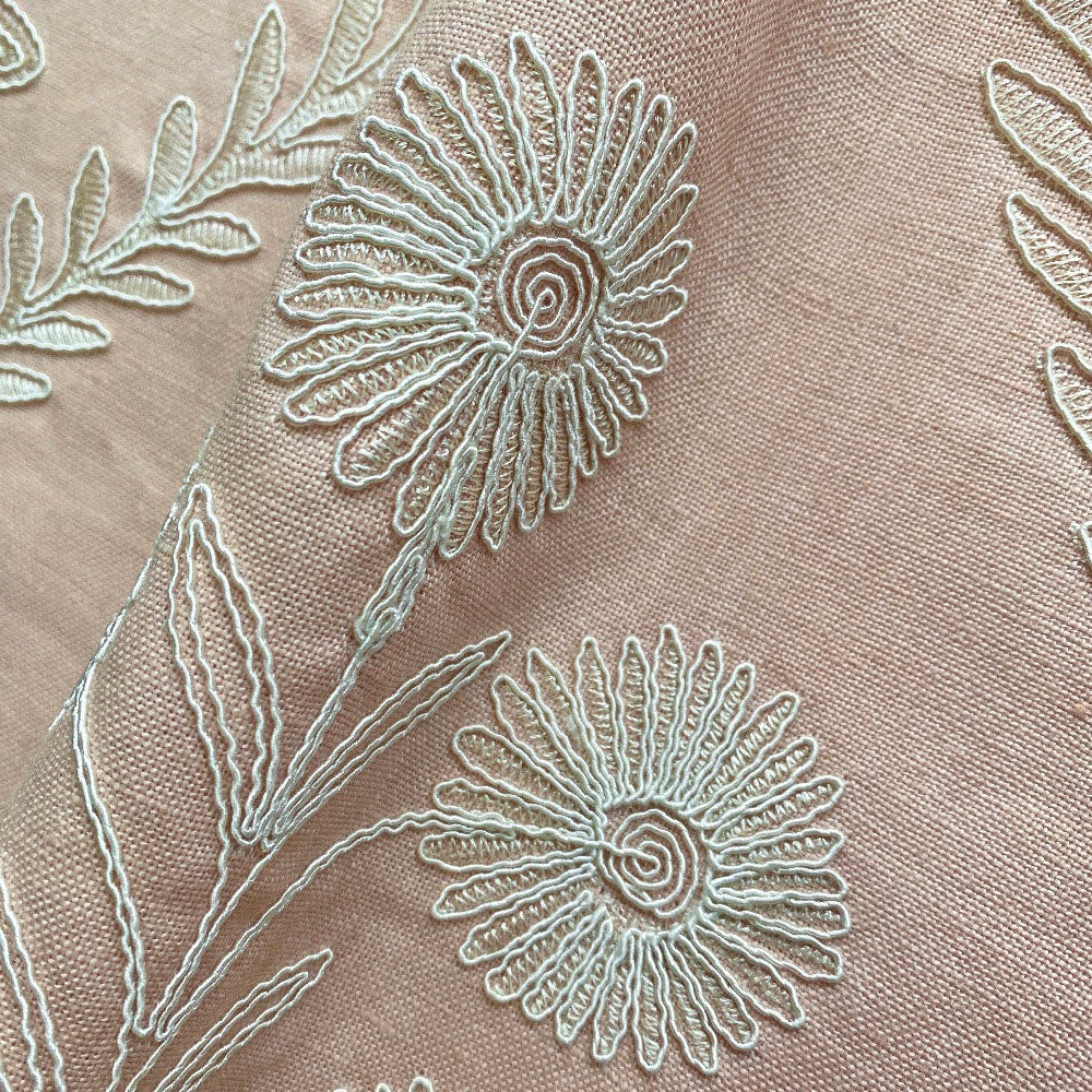 Persian Daisy - Ballet Pink