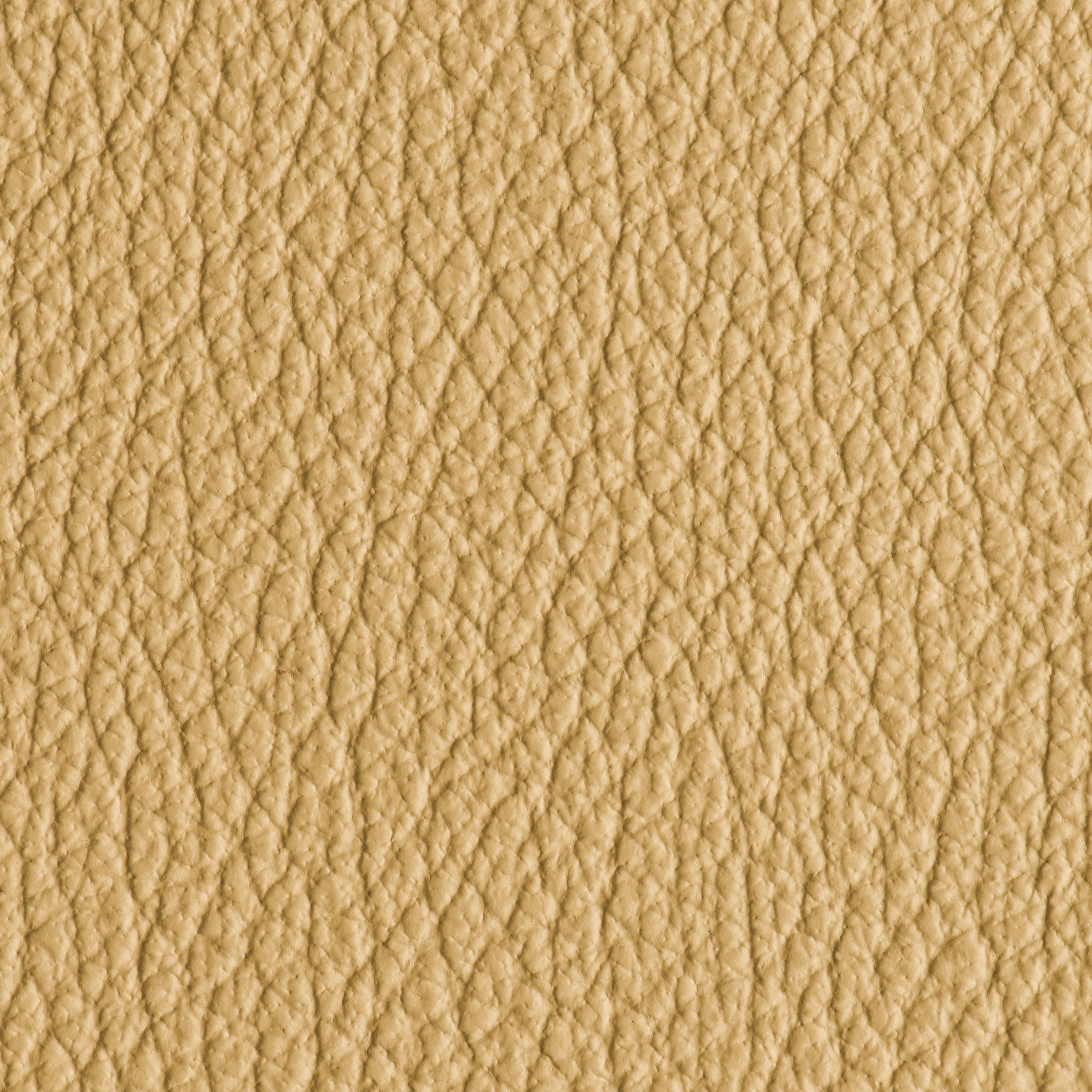 Indestructibull - Egg Nog