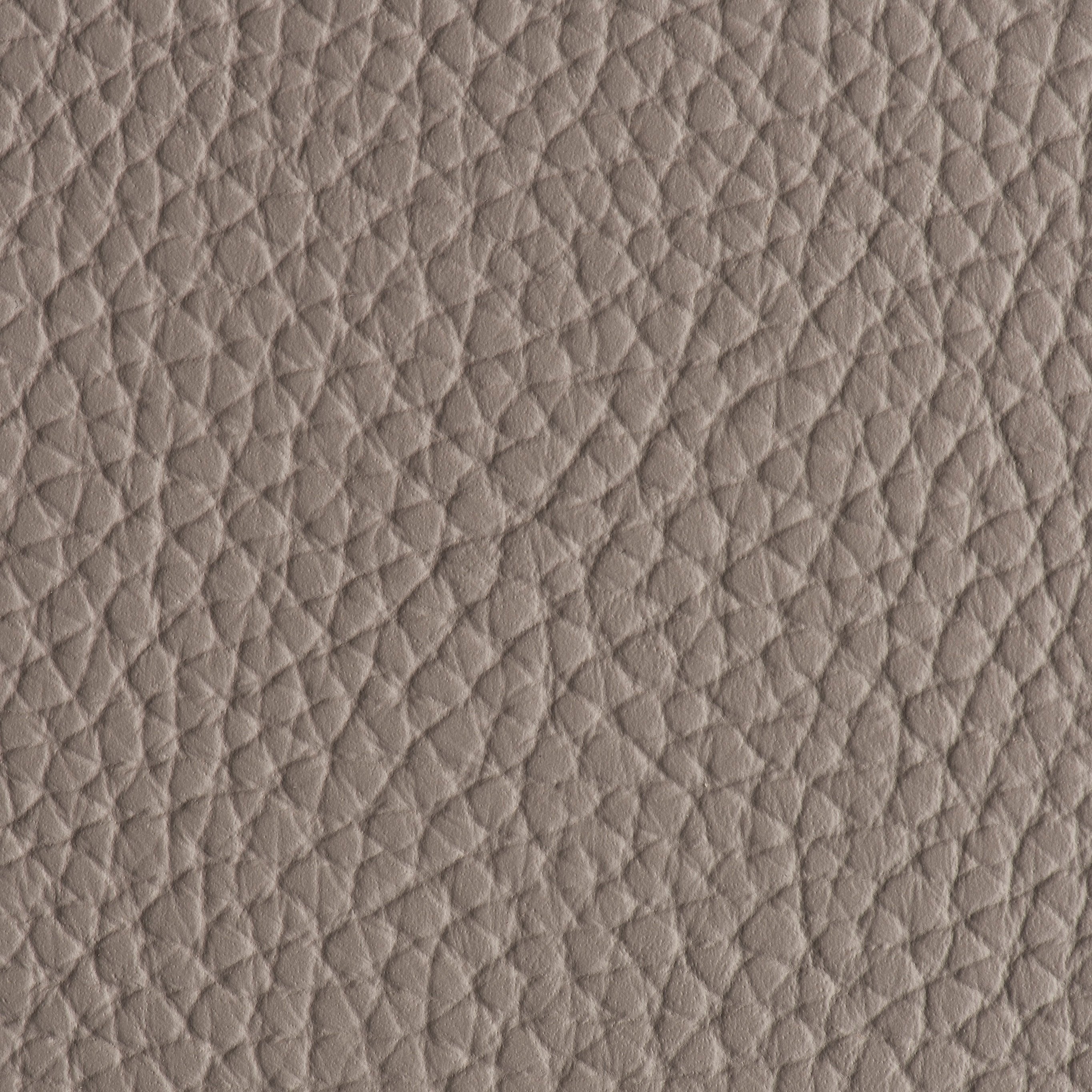 Indestructibull - Thunder Storm