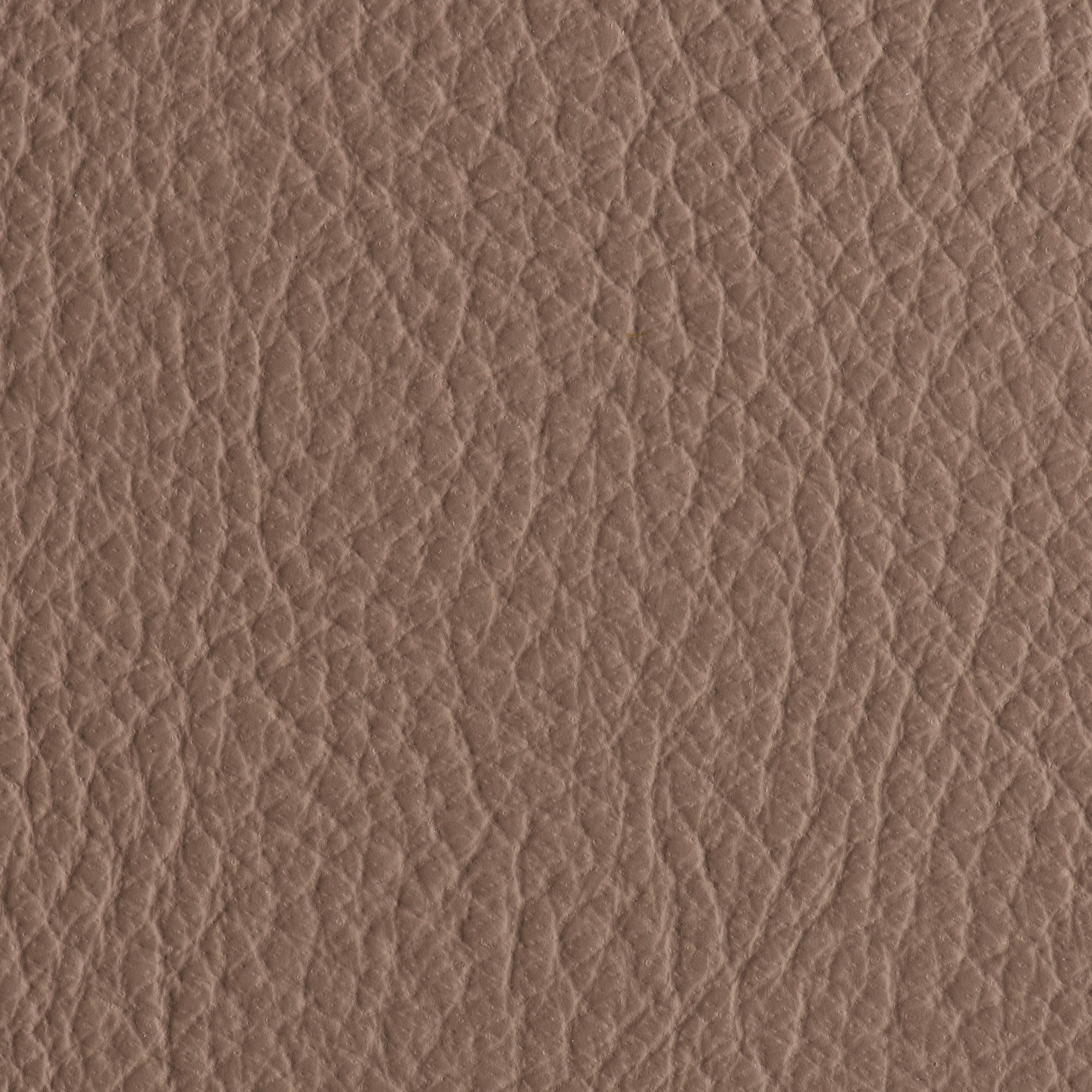 Indestructibull - Fawn