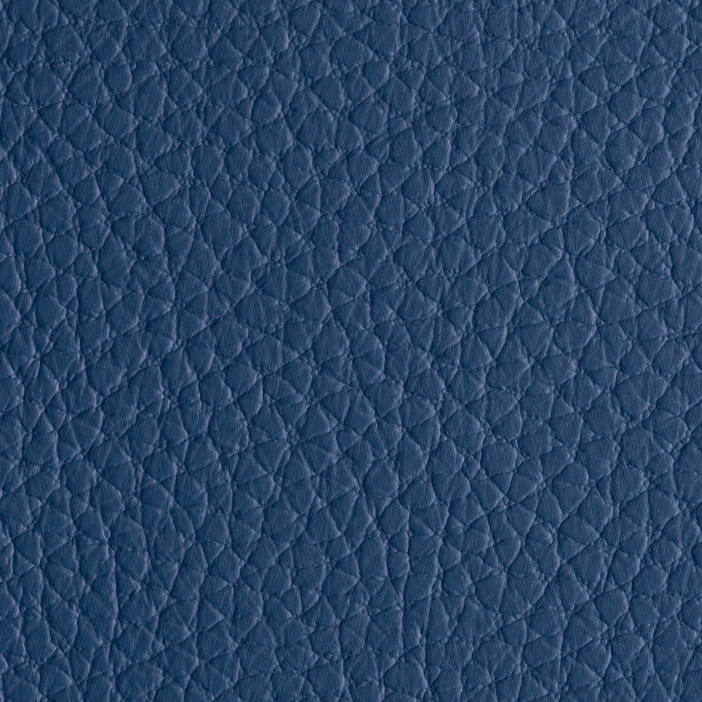 Indestructibull - Cobalt