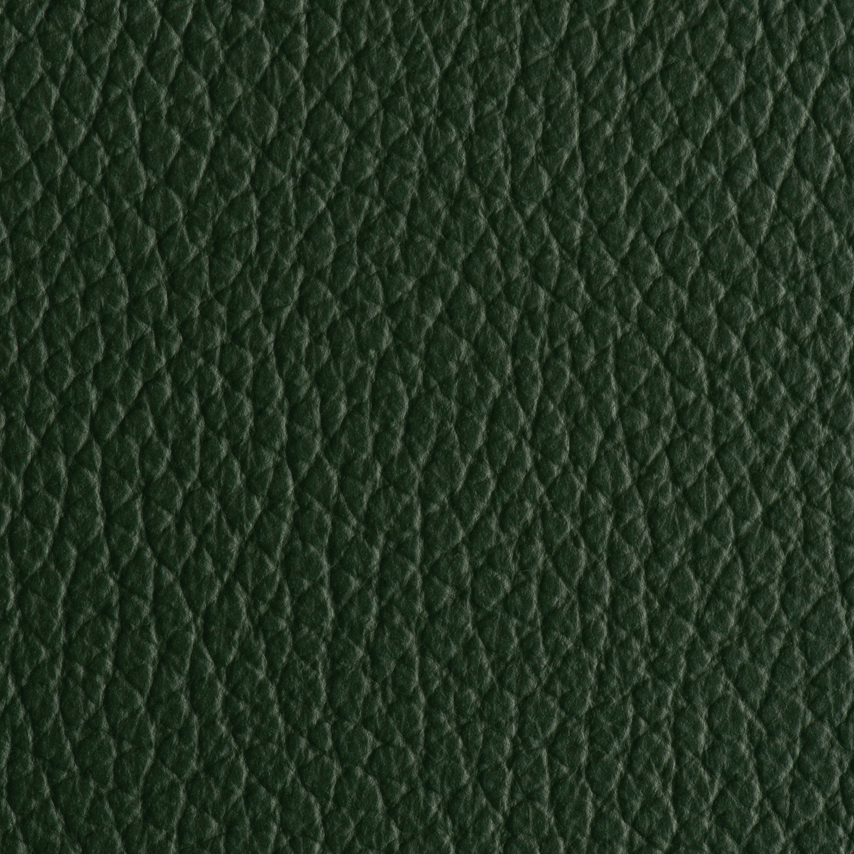 Indestructibull - Forest