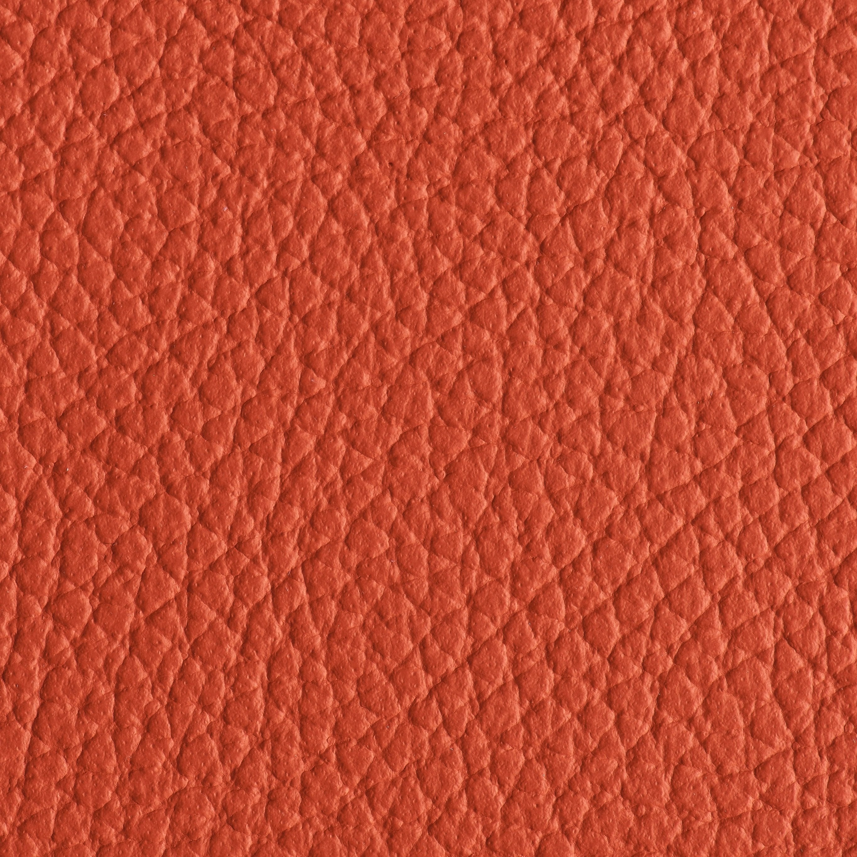 Indestructibull - Melon