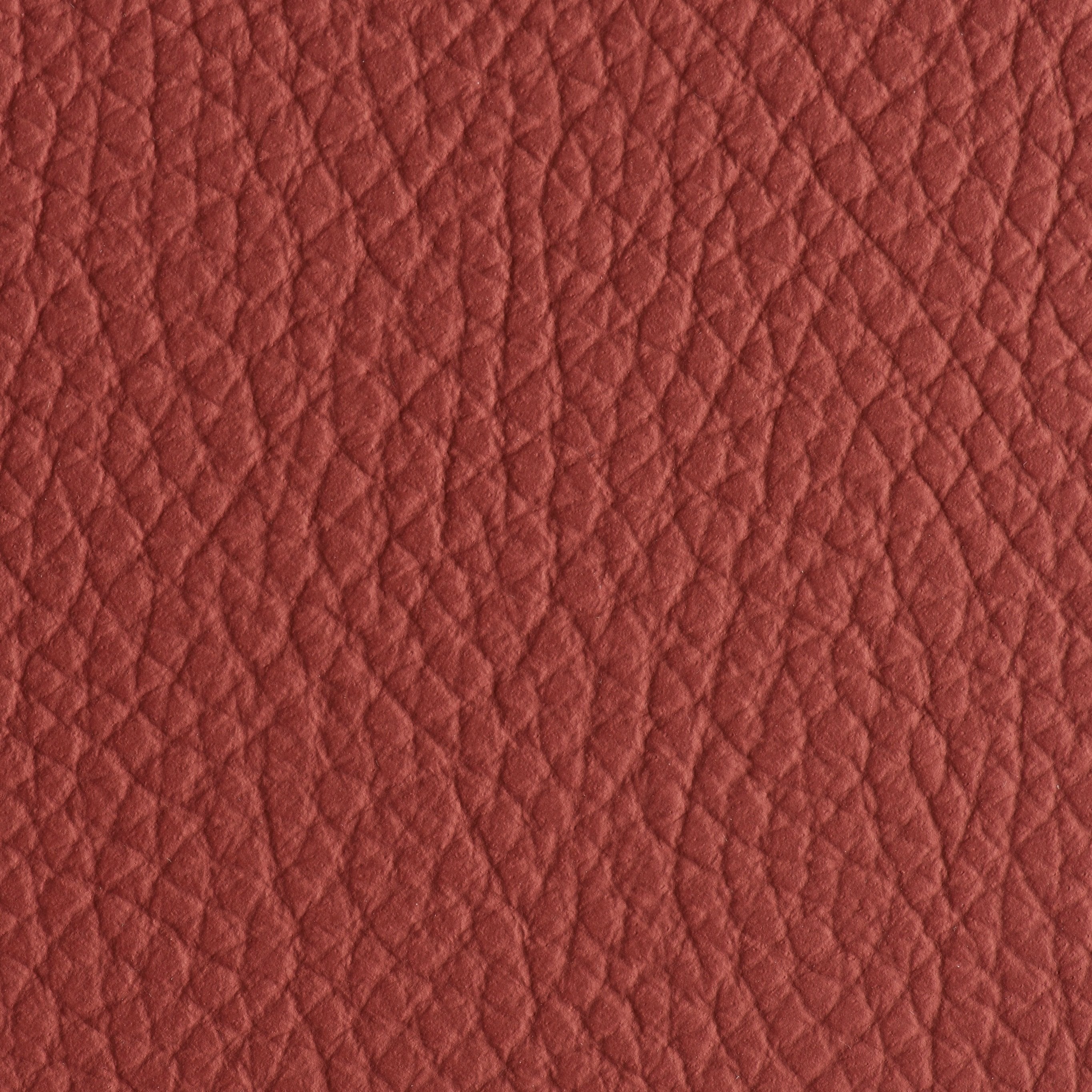 Indestructibull - Rust