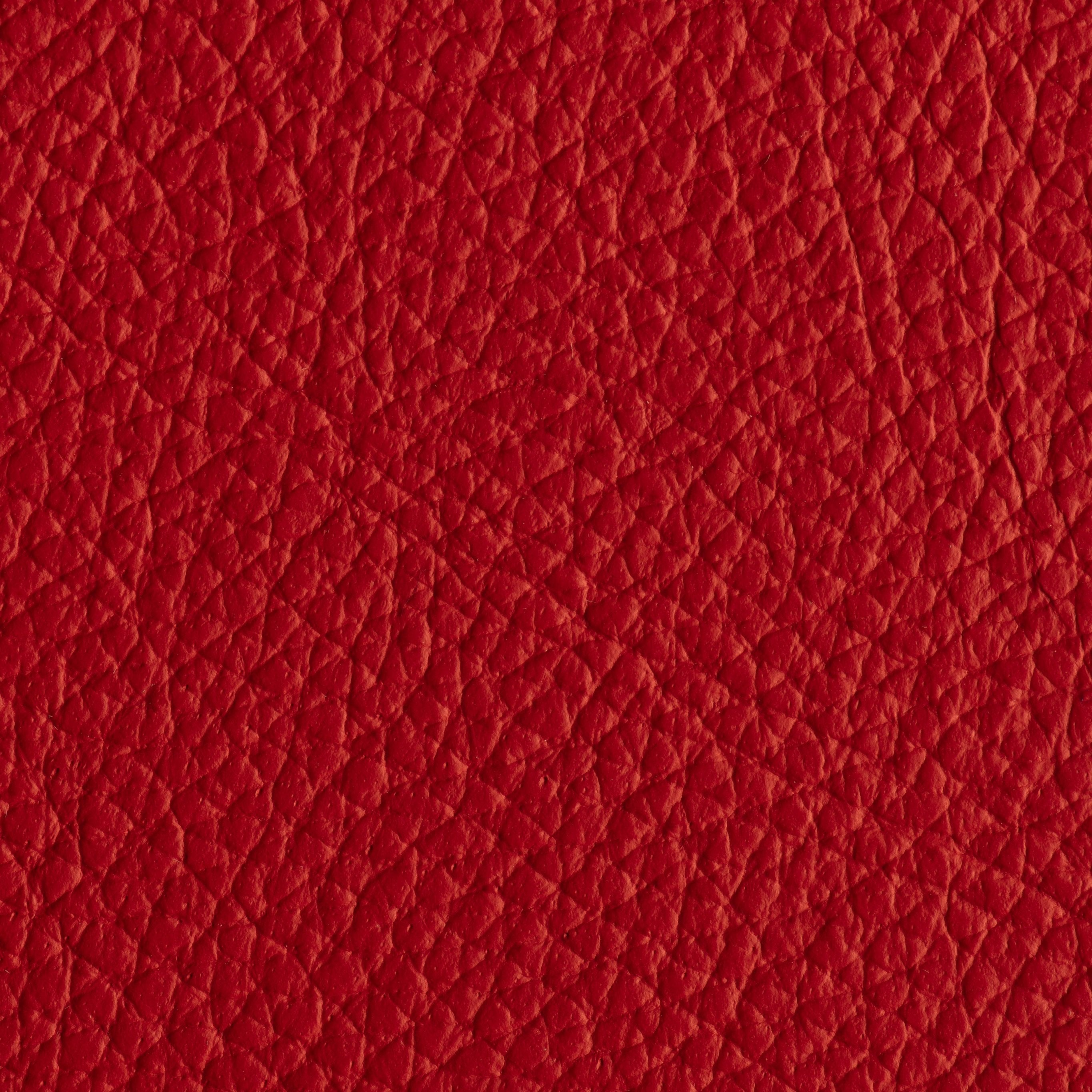 Indestructibull - Cherry Pie