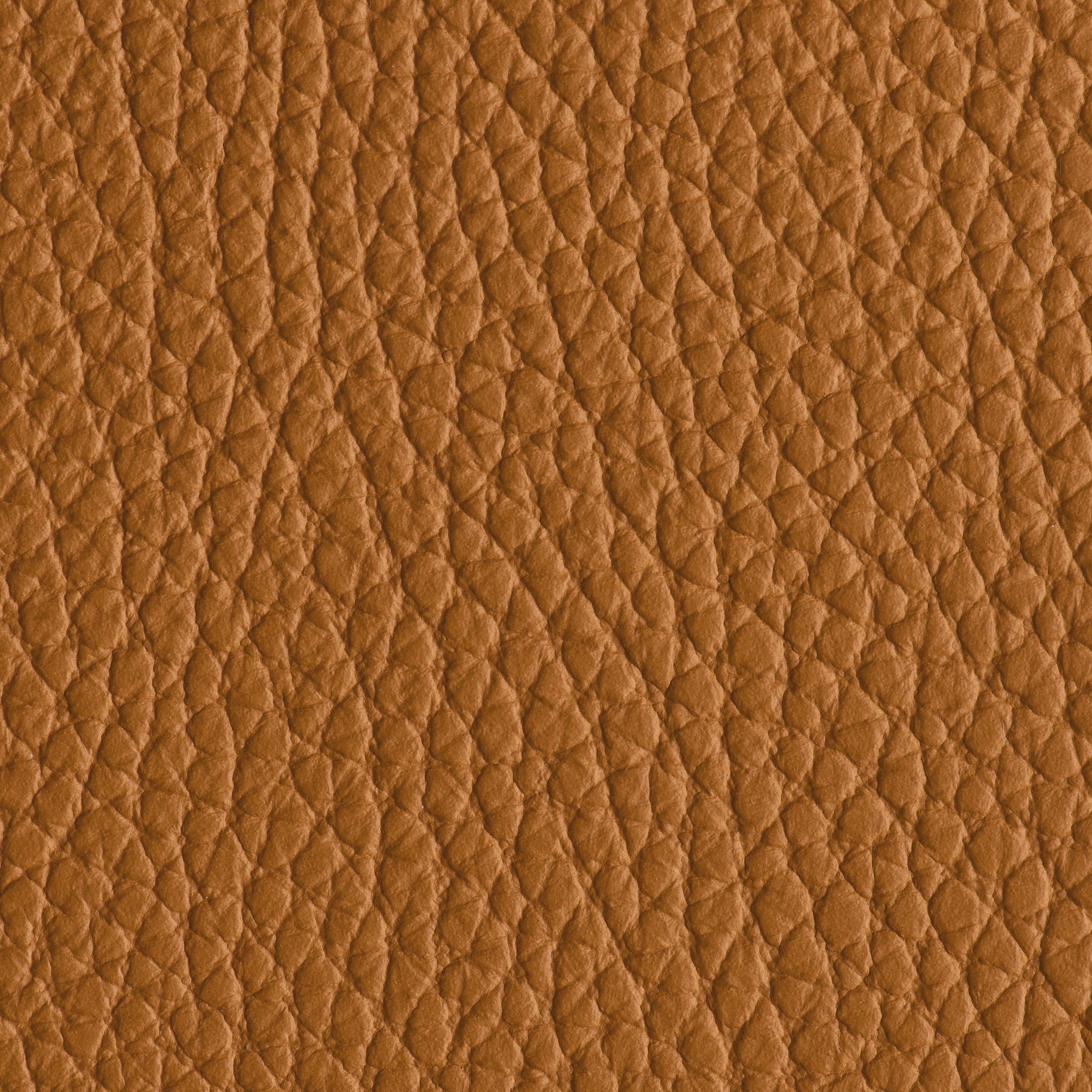 Indestructibull - Butterscotch