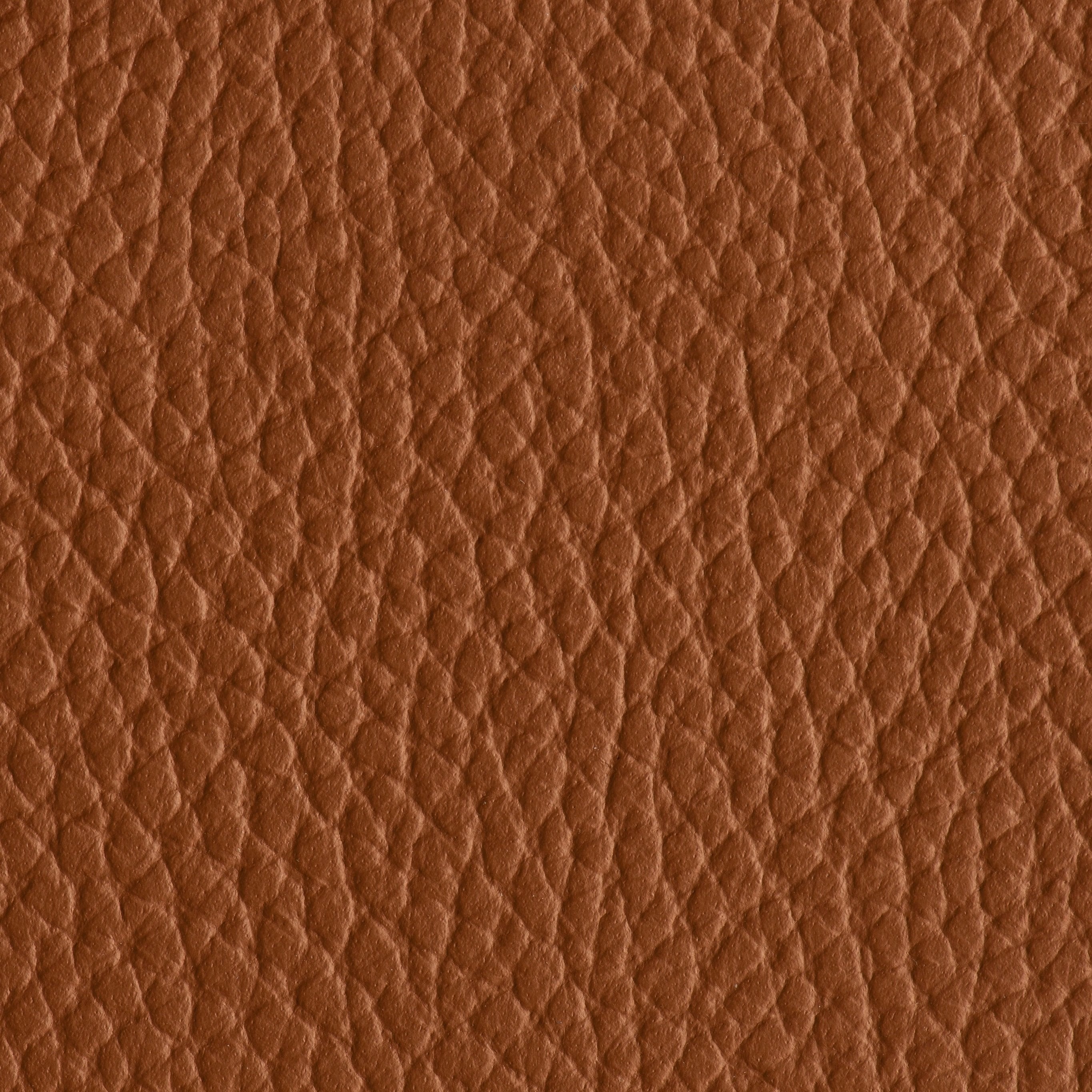 Indestructibull - Gingerbread