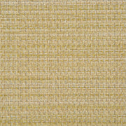 Livorno - Parchment