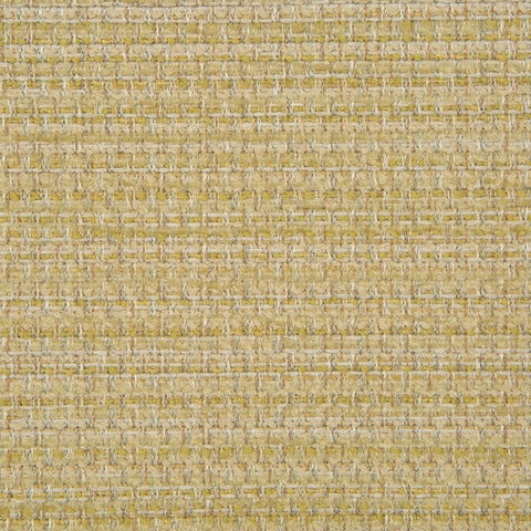 Livorno - Parchment