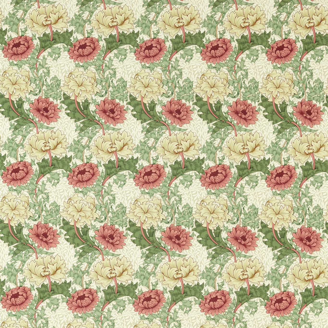 Chrysanthemum - Russet