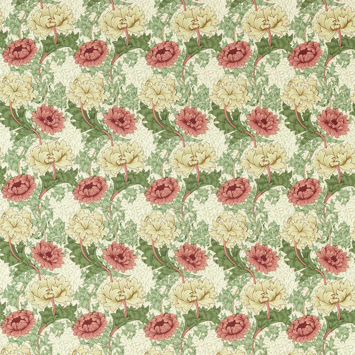 Chrysanthemum - Russet