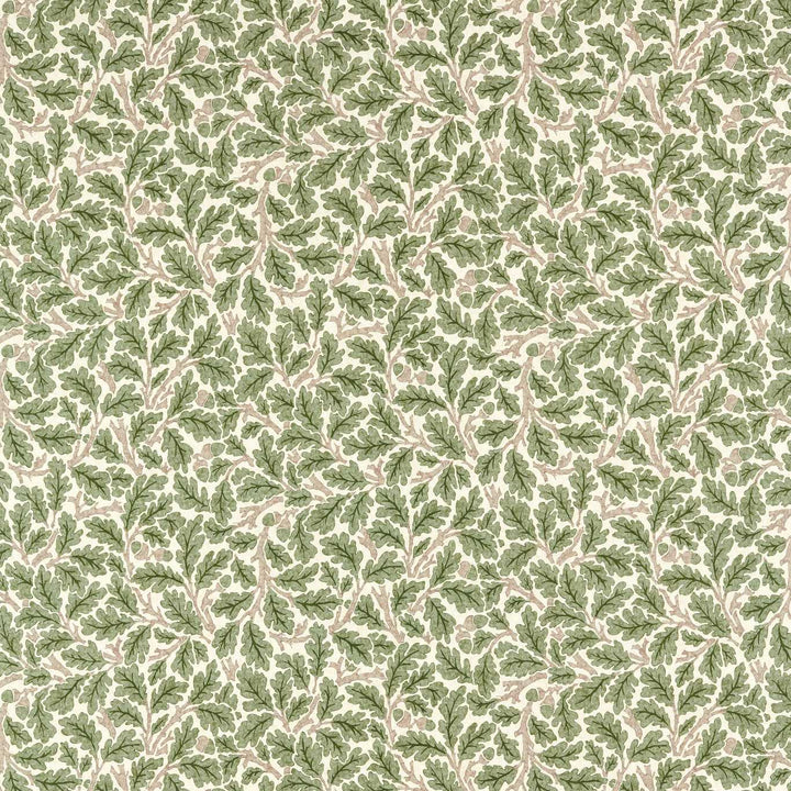 Oak - Sage Green