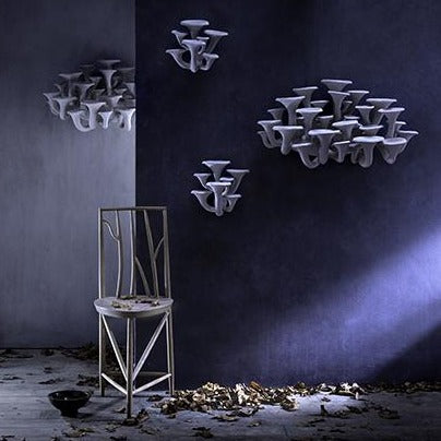 Mushroom Wall Light, Large - Tawny