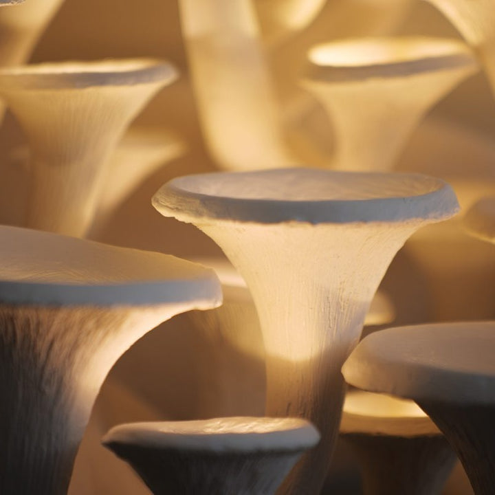 Mushroom Wall Light, Large - Tawny