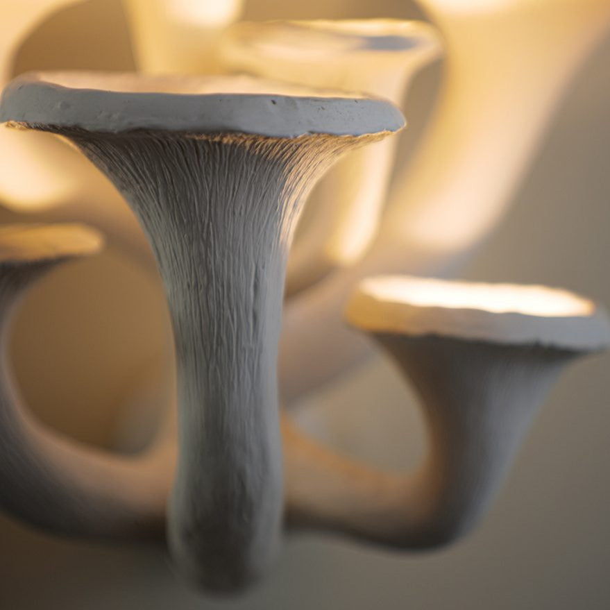 Mushroom Wall Light, Small - Tawny