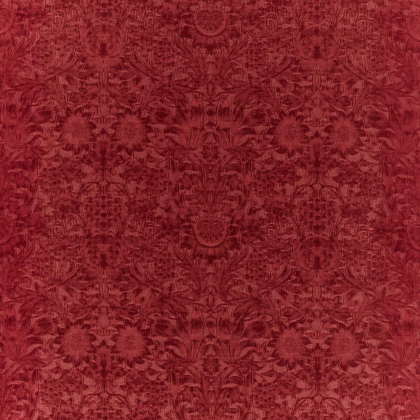 Sunflower Caffoy Velvet - Barbed Berry