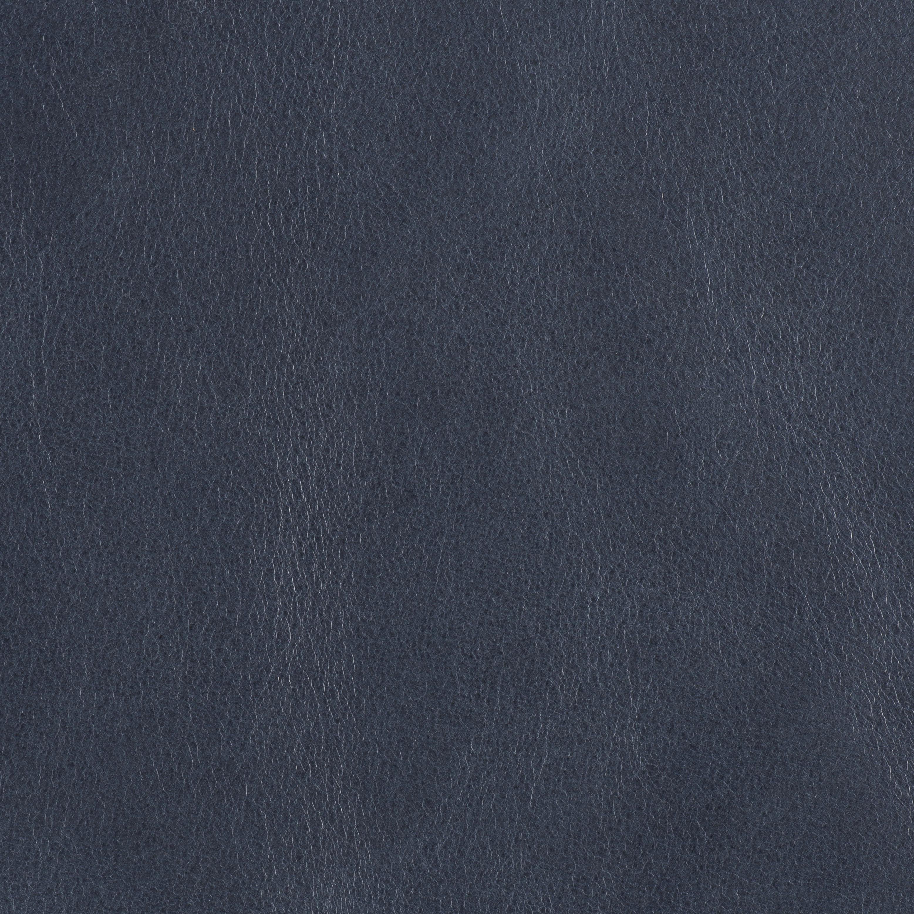 Tail Blazer - Midnight Sky