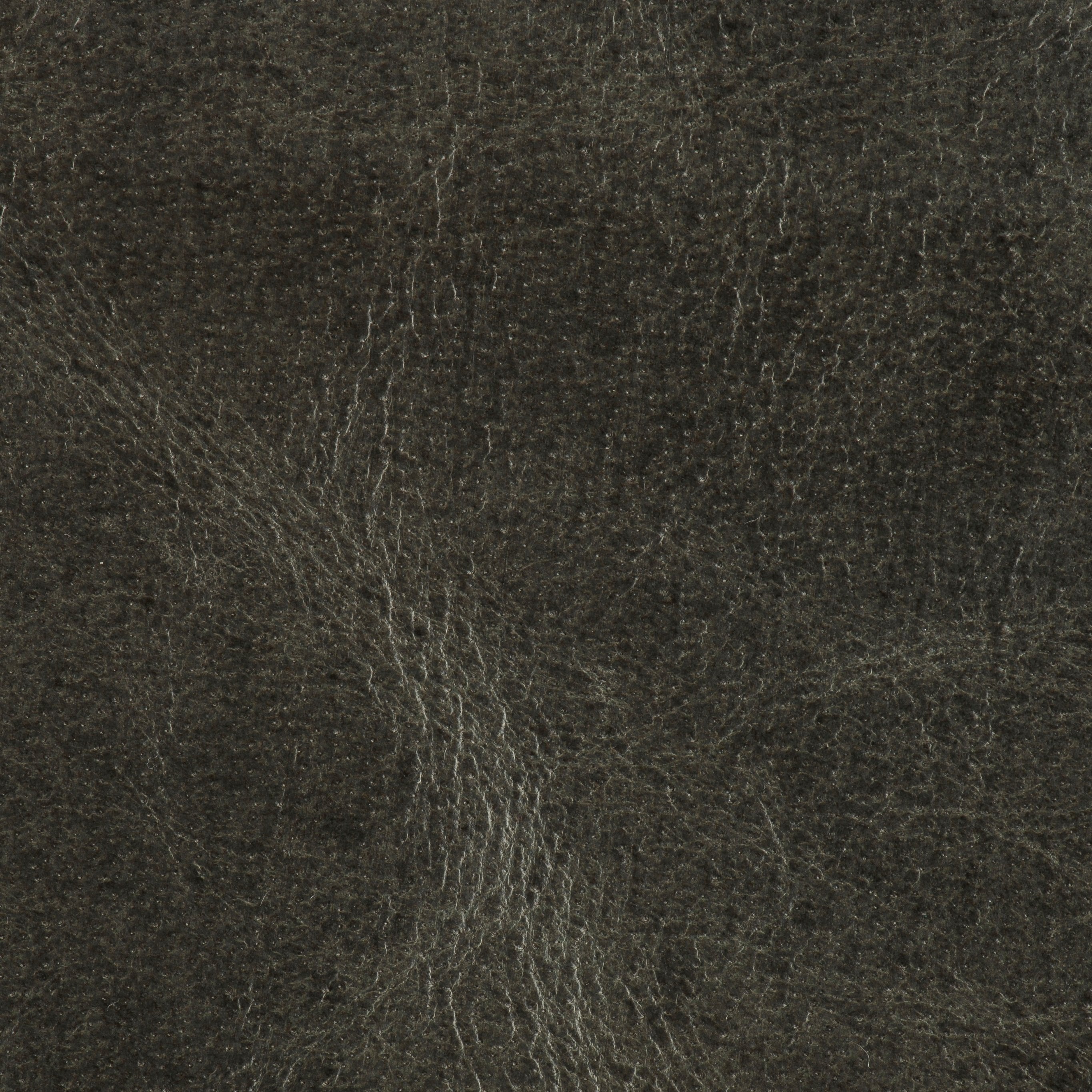 Moo'y Macho - Siesta