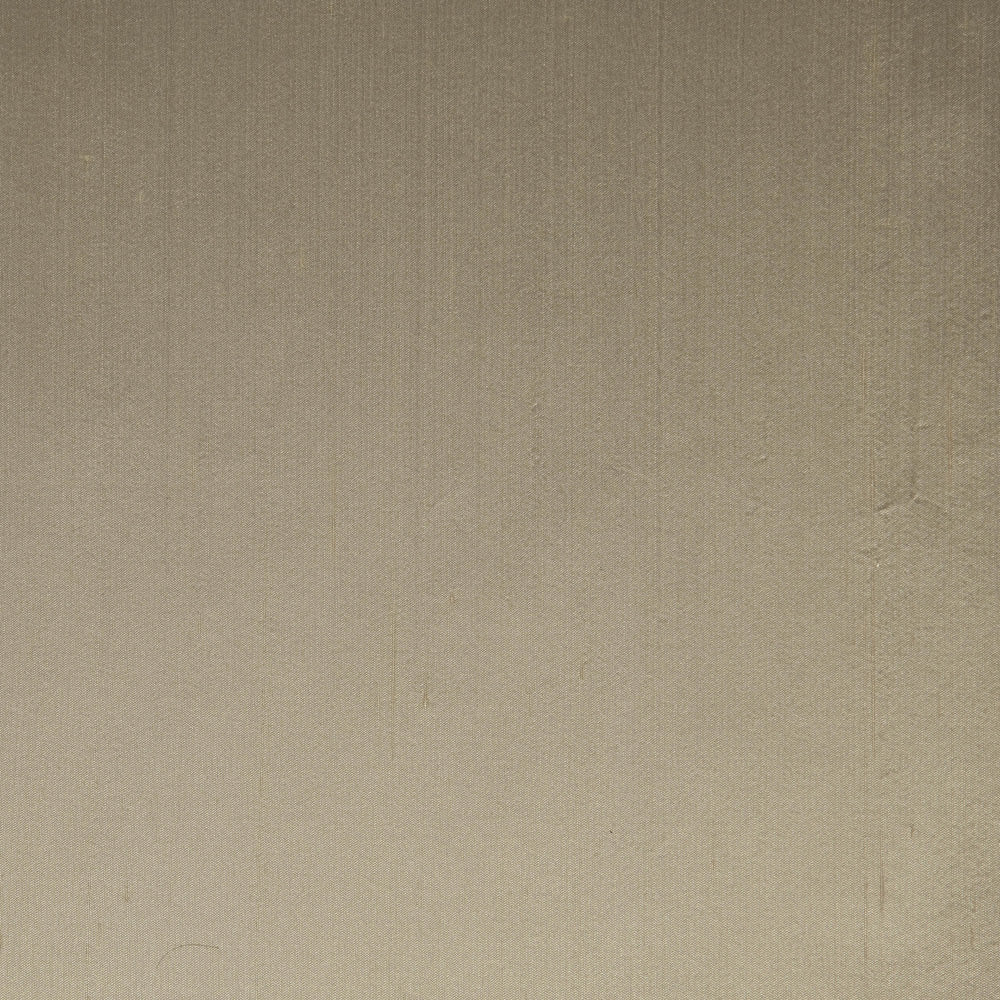 Pallade - Conchiglia