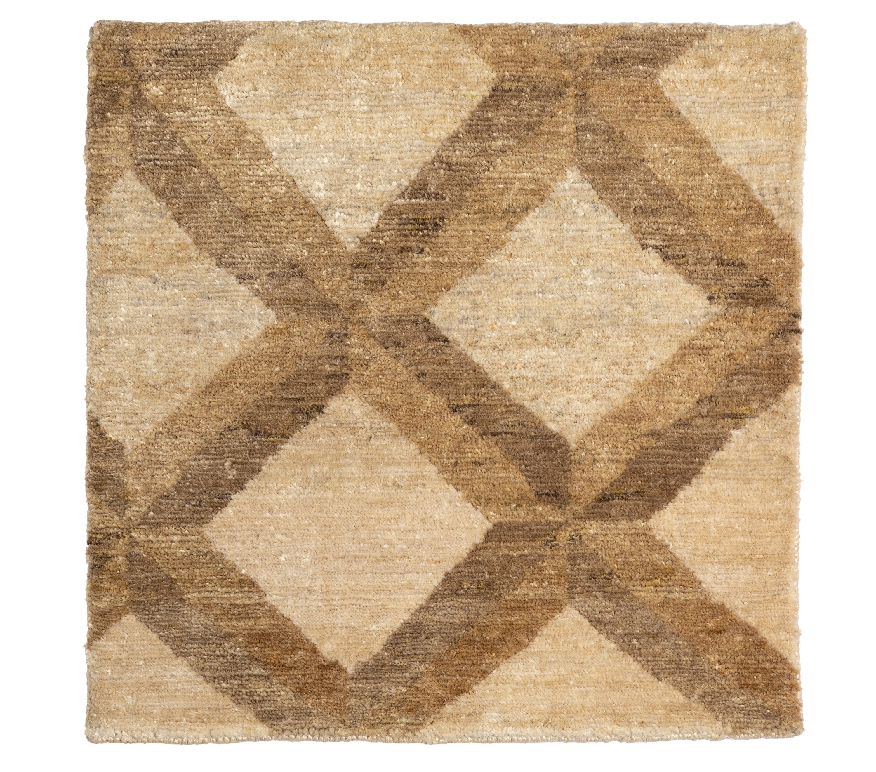 Op Art Trellis P 2009