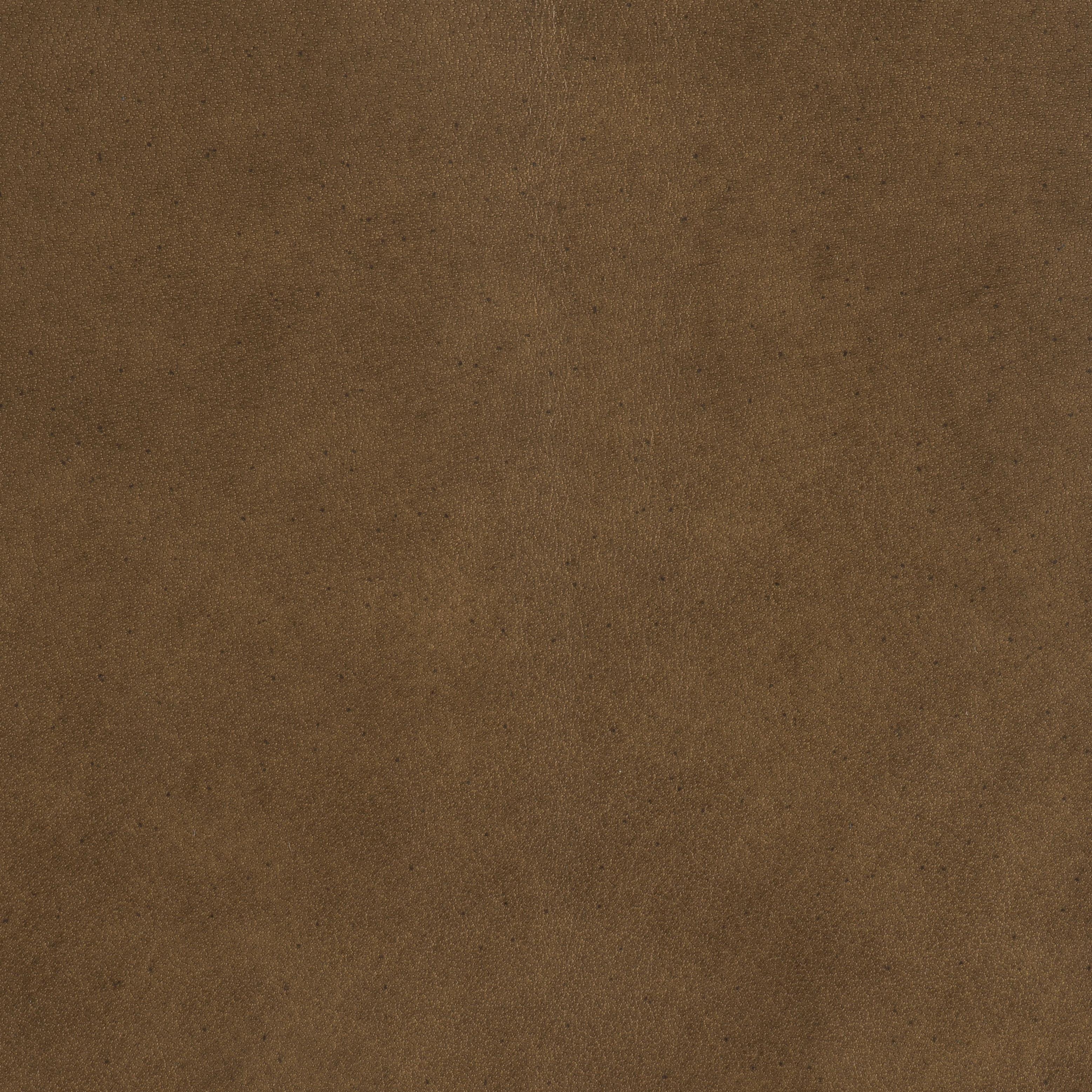 City Slickers - Pheasant