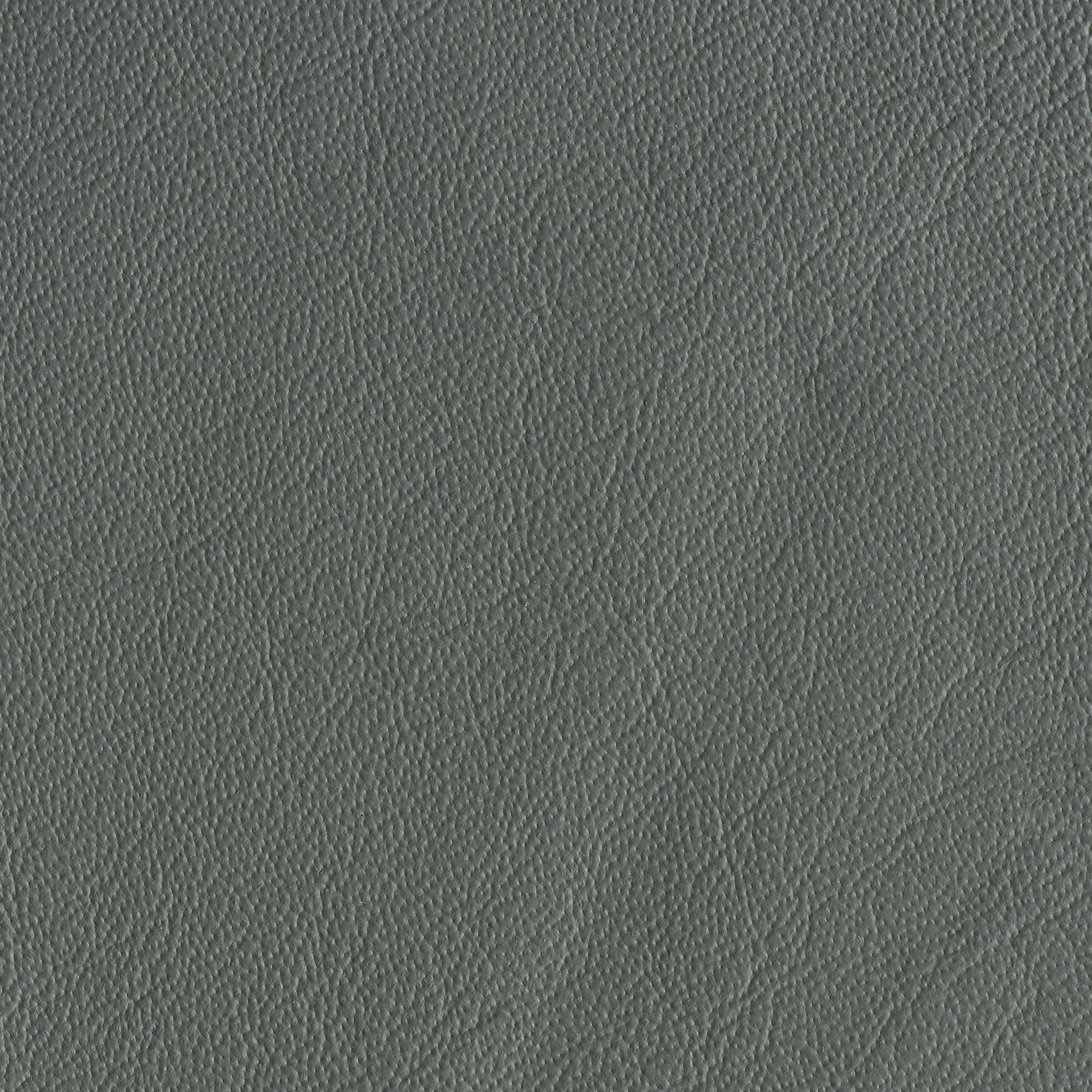 Power Steering - Carwash