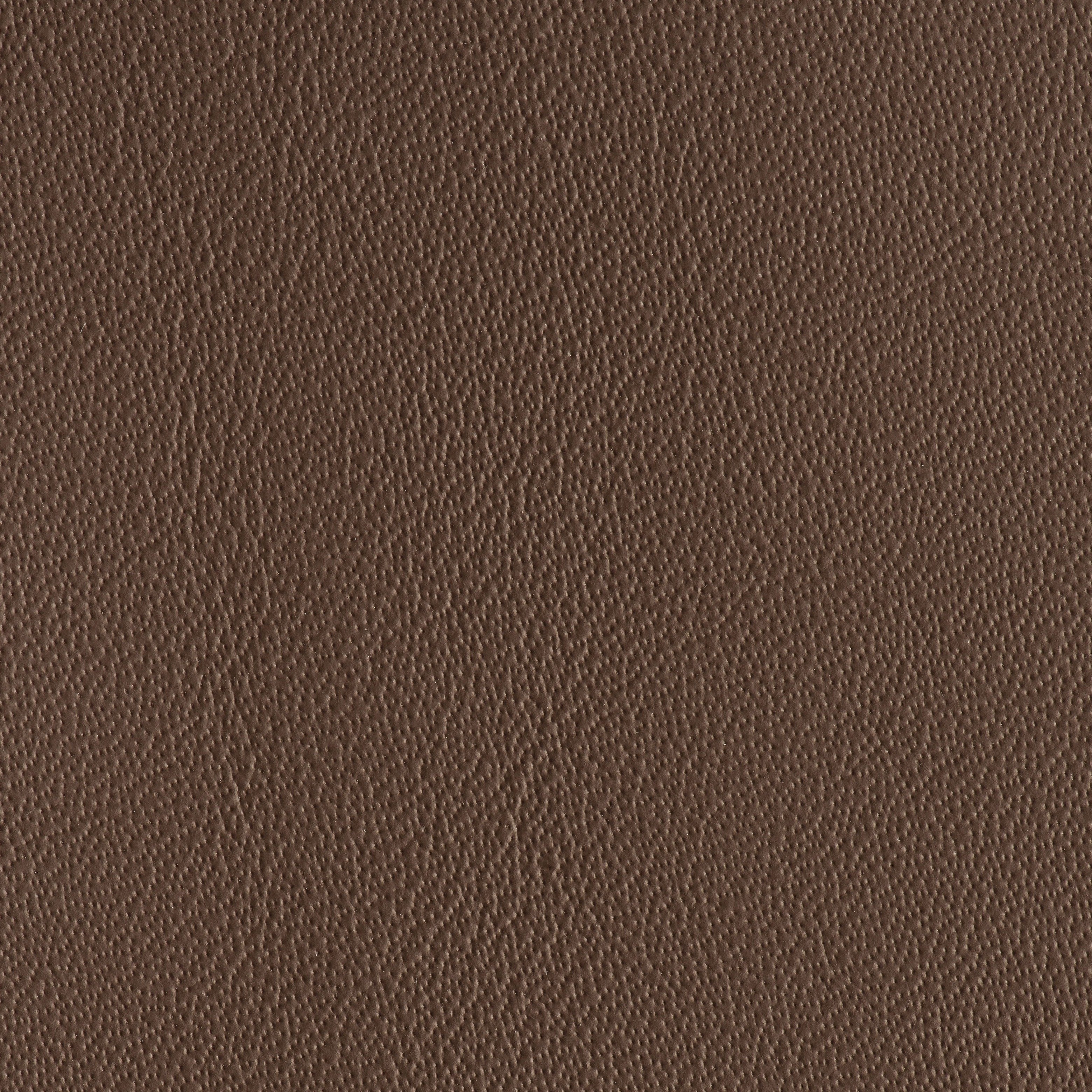 Power Steering - Horse Power