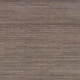 Coiba - RM 110 82