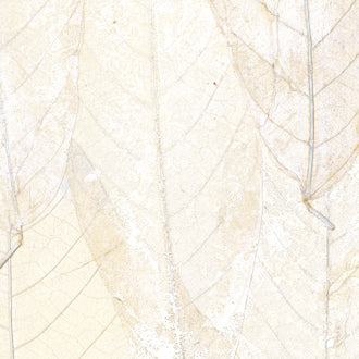 Blanche Neige - Ecrin - RM 972 01