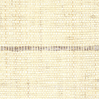 Tsarabanjina - Raw Raffia - RM 979 05