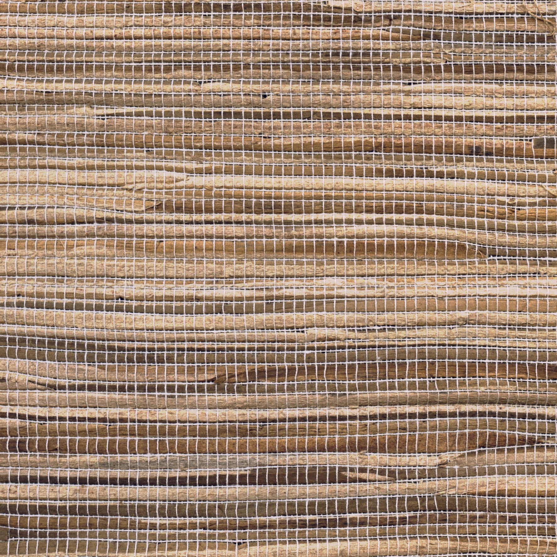 Water Hyacinth - Natural (E01)