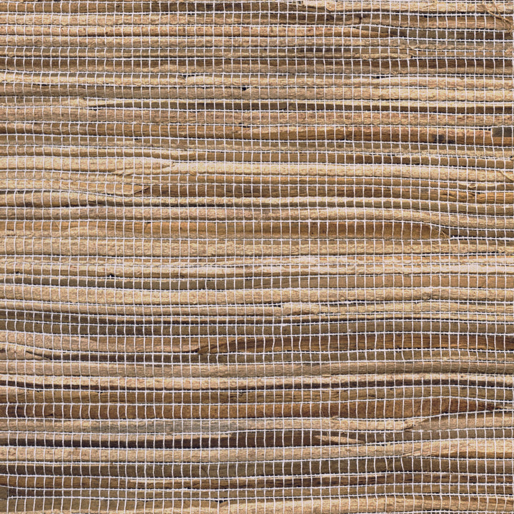 Water Hyacinth - Natural (E01)