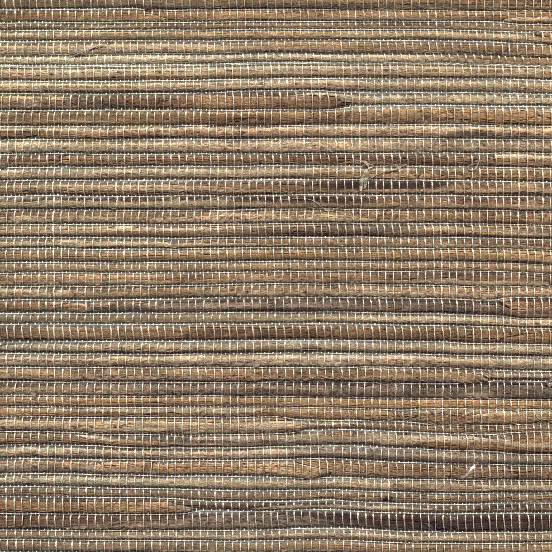 Water Hyacinth - Stone Blue Water (B03)