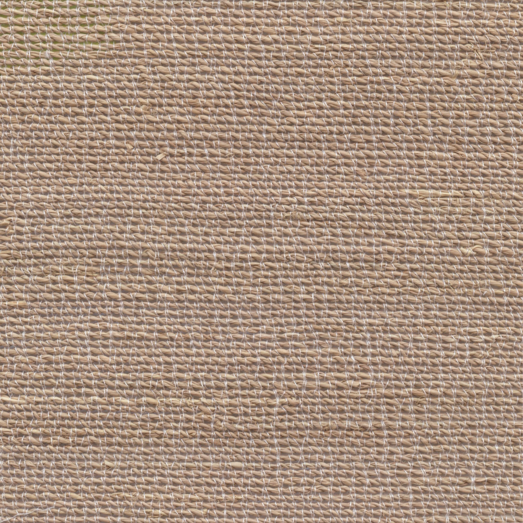 Palm Tree - Rope, Sand