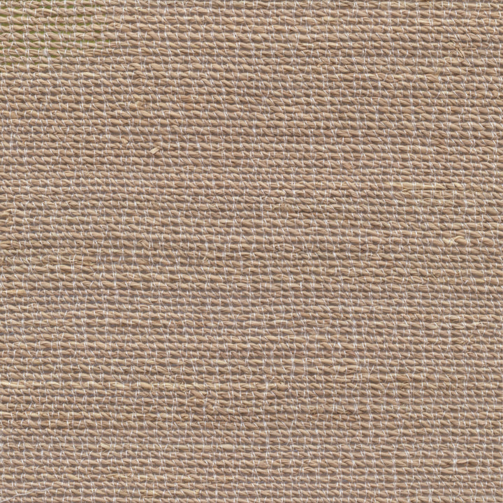 Palm Tree - Rope, Sand