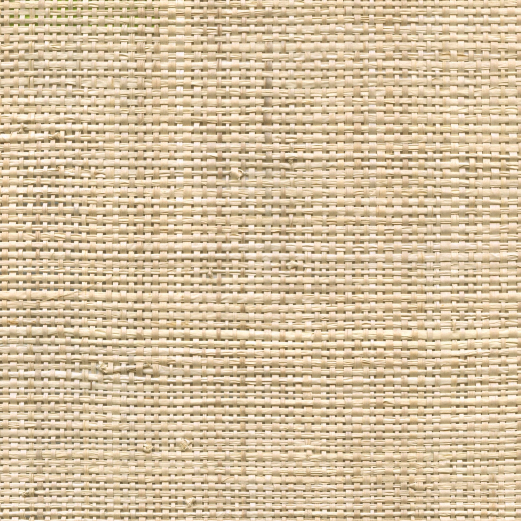 Raffia - Bud Bud, Natural