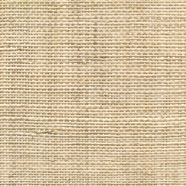 Raffia - Bud Bud, Natural