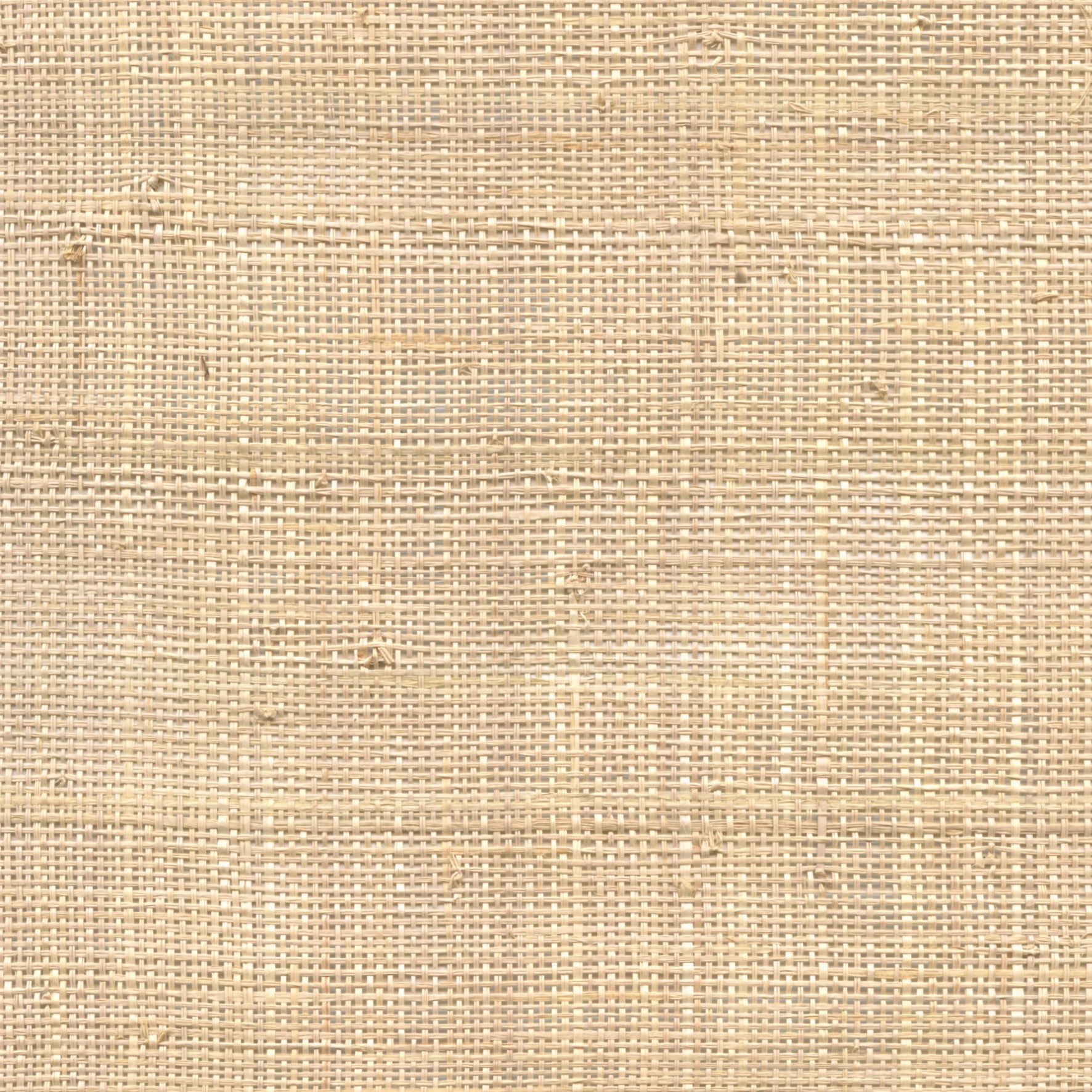 Raffia - Fine Raffia, Natural