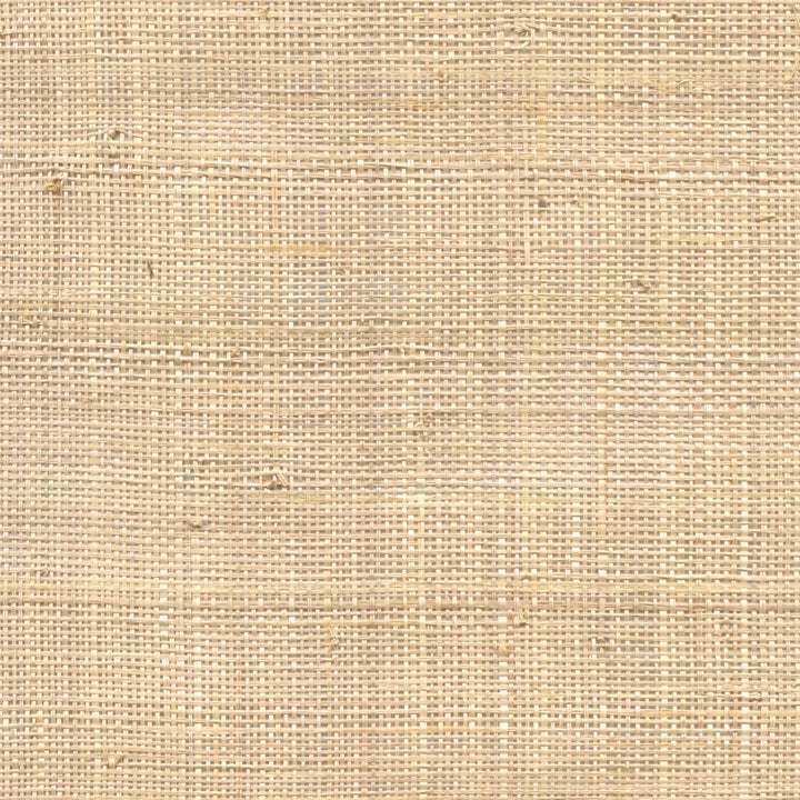 Raffia - Fine Raffia, Natural